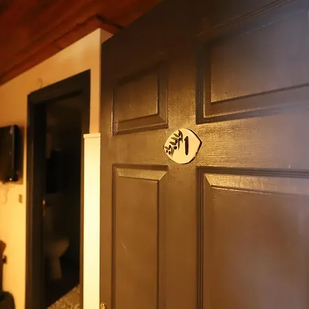 Konukevi Olivia1845 Ayvalık Over 16 Years Old Ayvalı