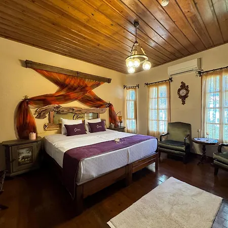 Olivia1845 Over 16 Years Old Maison d'hôtes