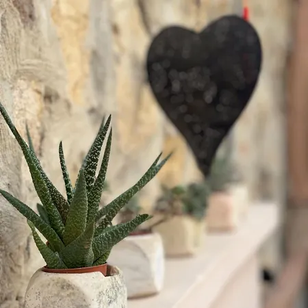 Konukevi Olivia1845 Ayvalık Over 16 Years Old *