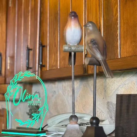 Olivia1845 Ayvalık Over 16 Years Old *