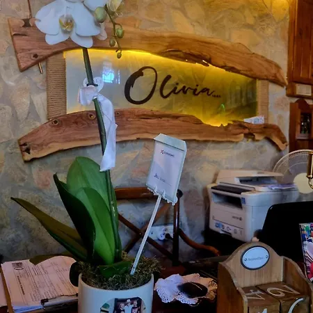 Olivia1845 Ayvalık Over 16 Years Old Konukevi Ayvalı